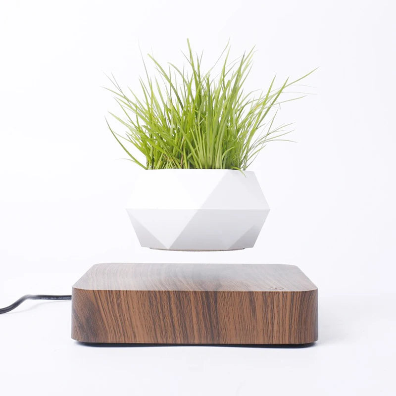 Levitating Air Bonsai Pot Rotation Flower