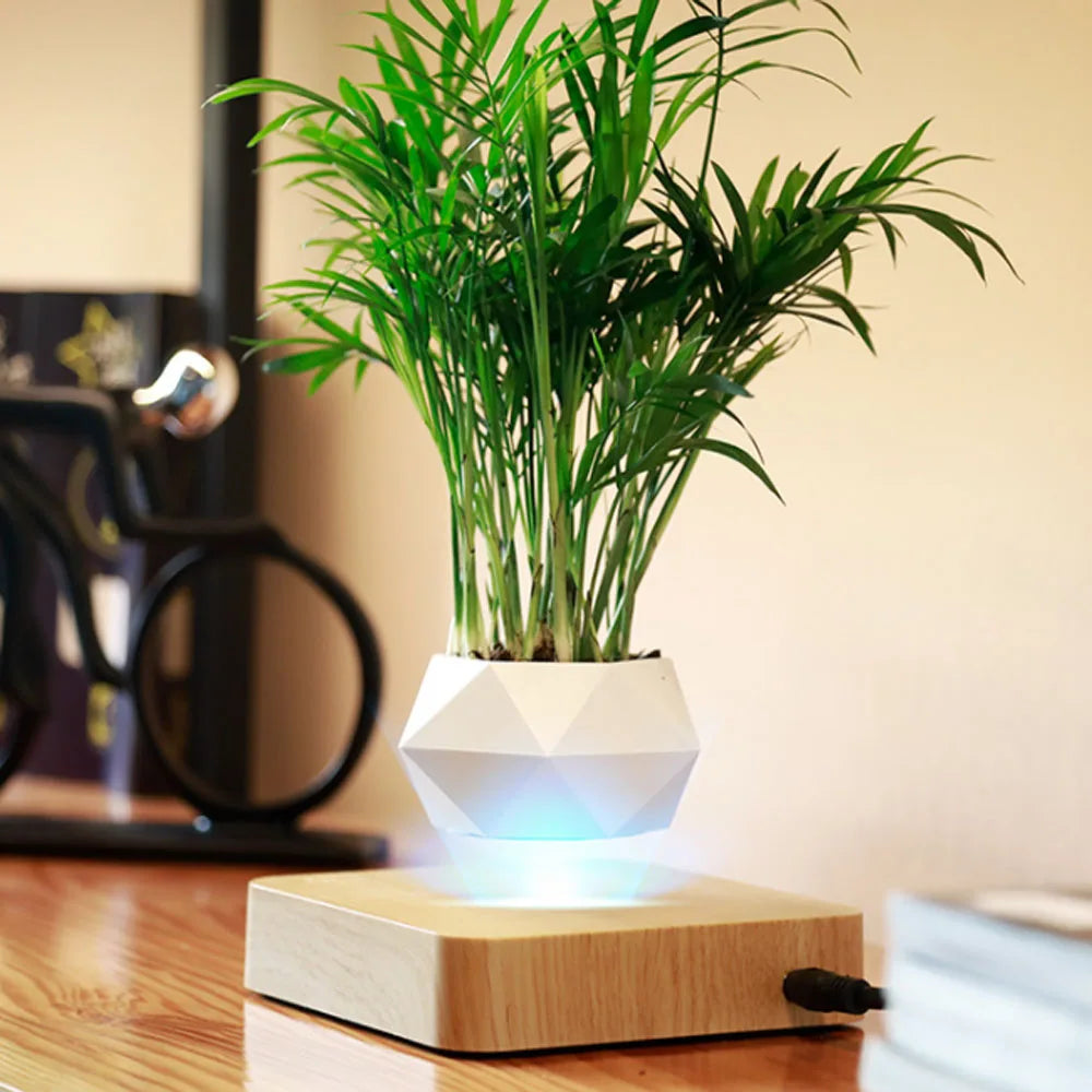 Levitating Air Bonsai Pot Rotation Flower