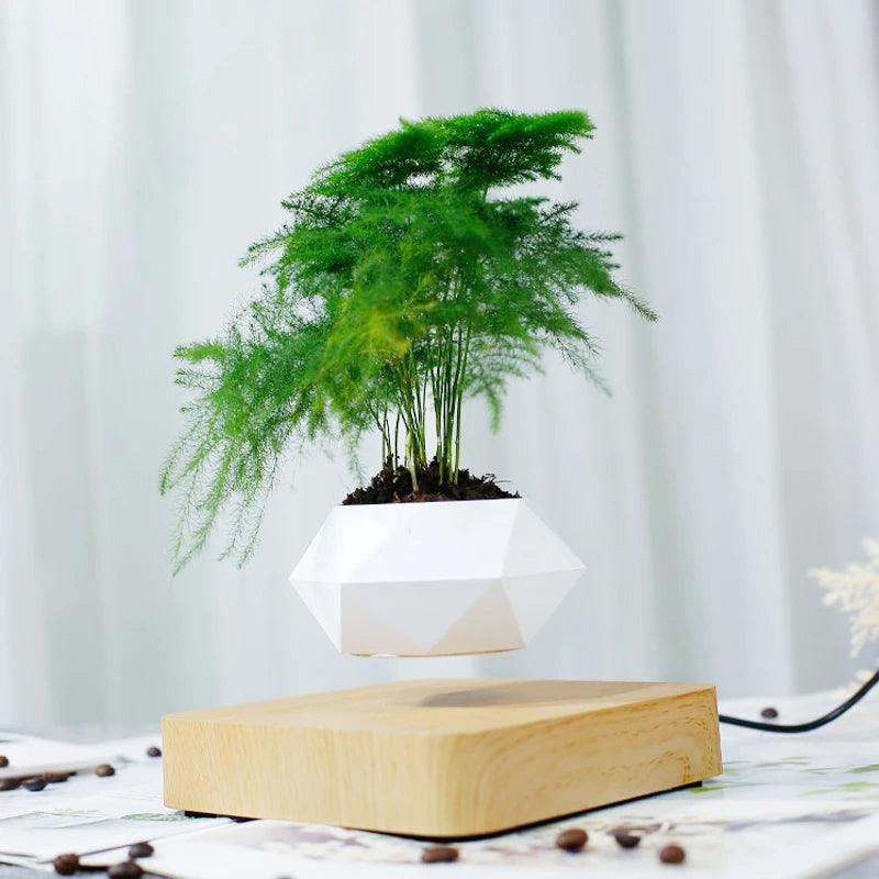 Levitating Air Bonsai Pot Rotation Flower