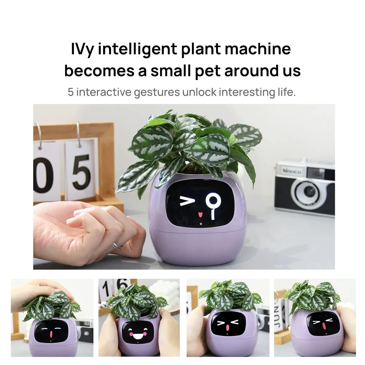 Smart Planter,Endless