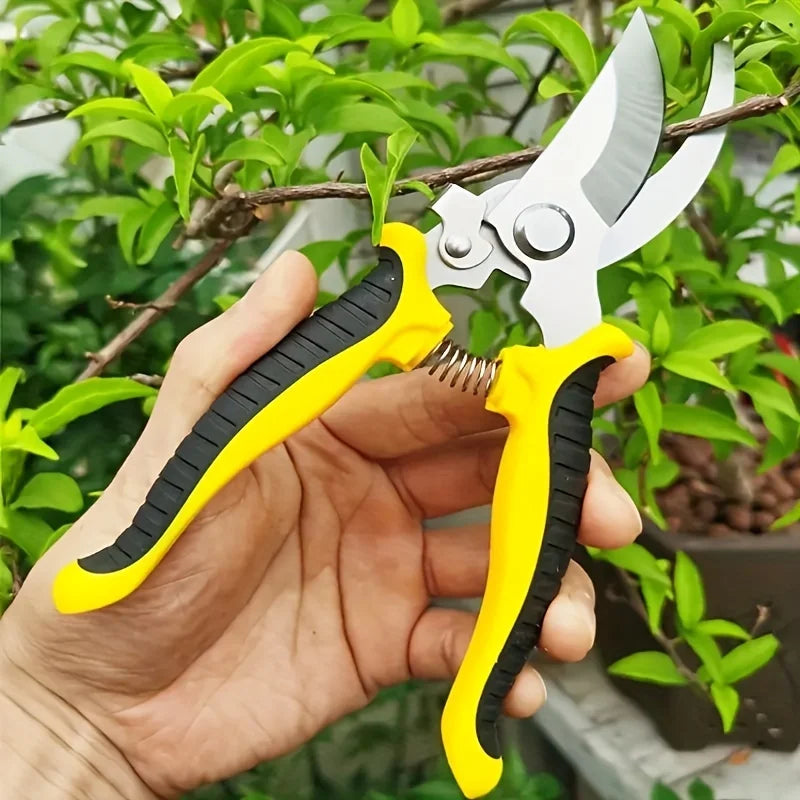 Art Park Scissors for Branch Cutting