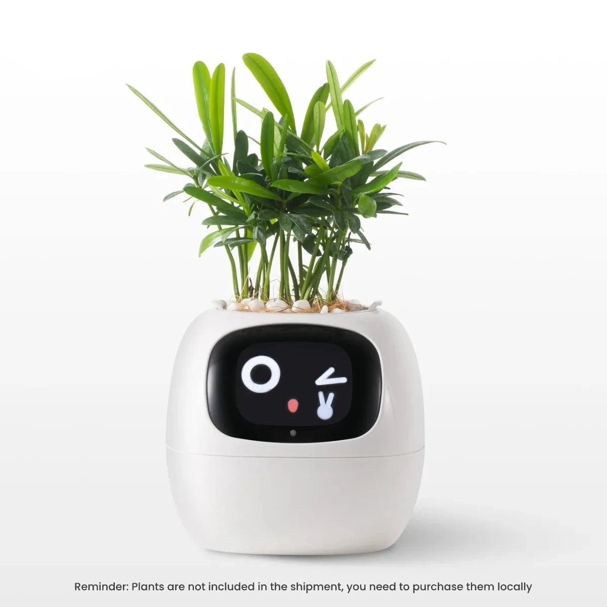 Smart Planter,Endless