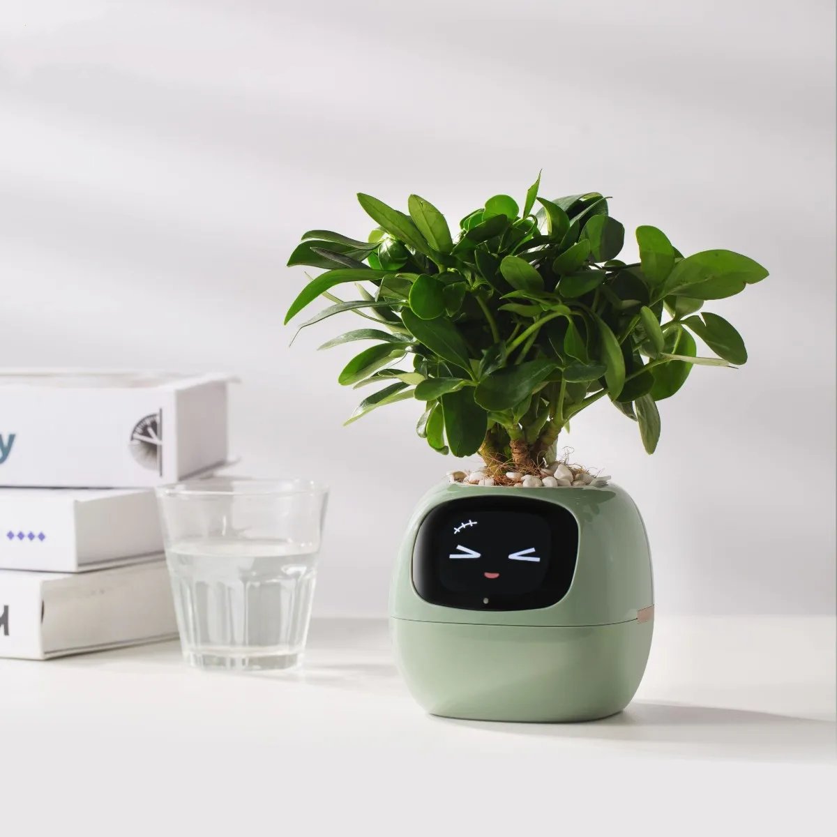 Smart Planter,Endless