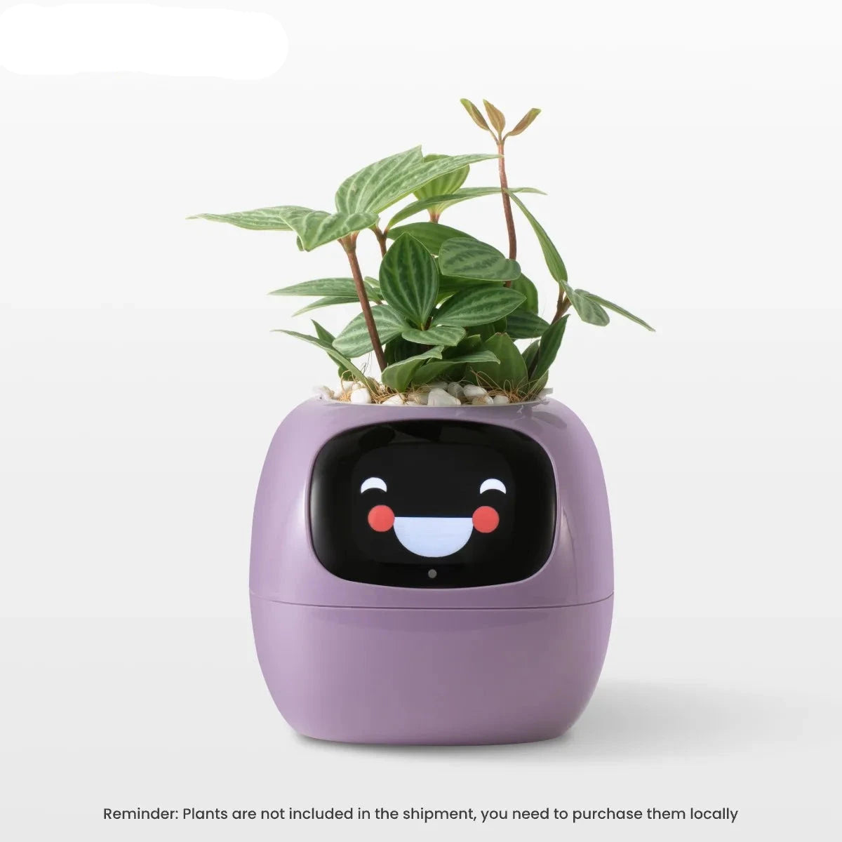 Smart Planter,Endless