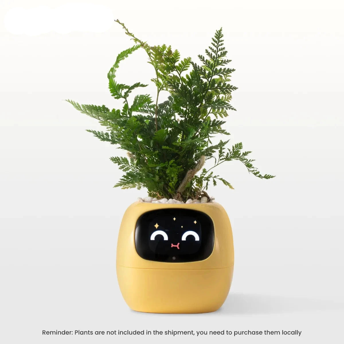 Smart Planter,Endless