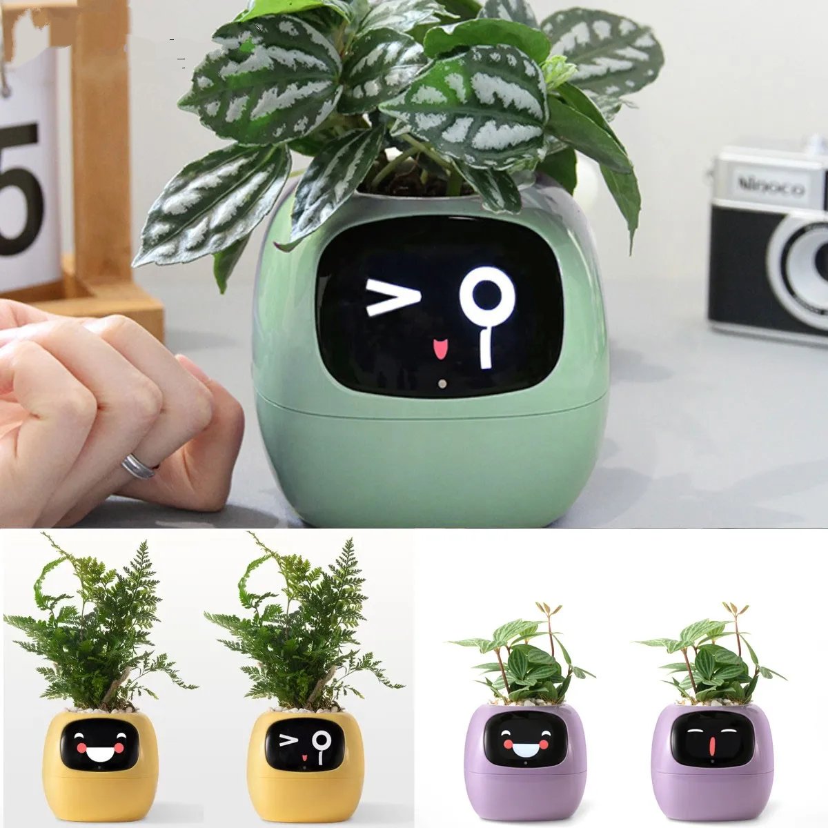 Smart Planter,Endless